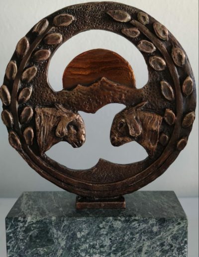 Trofeo Colegio Oficial de Veterinarios